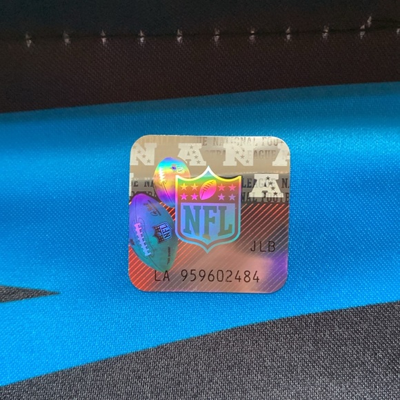 Carolina Panthers Hall of Honor 10/29/23 Small Pennant/Banner/Flag, 8 & 1/2”x 4” - Picture 7 of 7